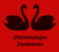  (vergroot foto)